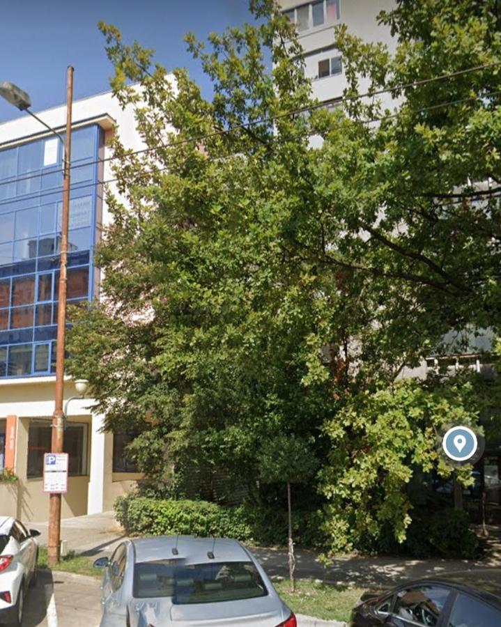 David'S Studio Timisoara Exterior foto